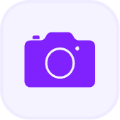 Sightseeing & Tours